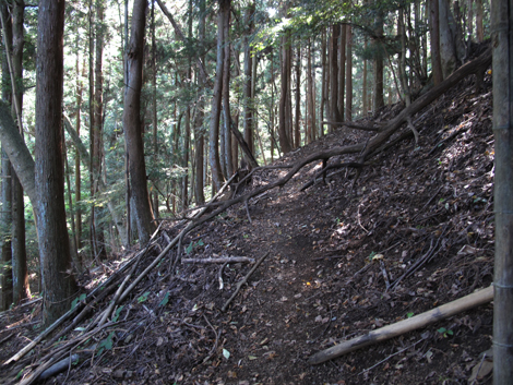 20151014hike (91)